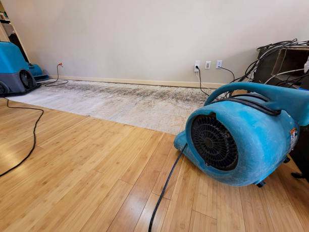 Professional Burst Pipe Water Damage technician working in Rahway, NJ